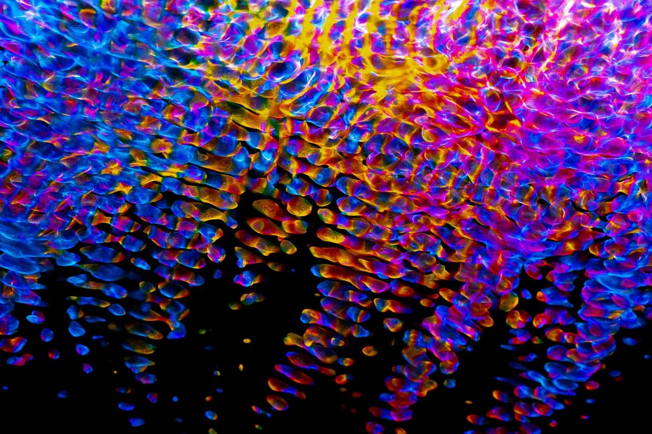 why-choose-us Eye-catching abstract art featuring multicolored fluid patterns in vibrant hues.
